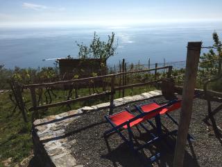Il Nettare Agriturismo - Riomaggiore - 1