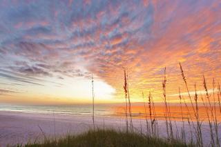 Emerald Shores West - 4