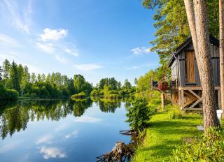 Dragon Treehouse with Hot Tub, Sauna, Private Lake & Deer Park - 6