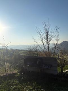Casina Ghiana - 2