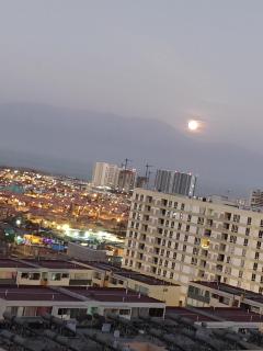Depto Exponor Antofagasta - 8
