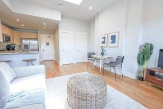 Light-Filled Back Bay 1 Bedroom Apartment - 6