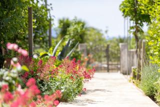 Apartments for families with children Sucuraj, Hvar - 25285 - 1