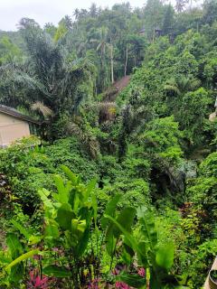 Jungle View Villa Ubud - 9