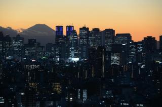 Bears House Tokyo - 1
