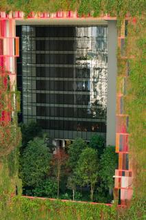 Oasia Hotel Downtown, Singapore by Far East Hospitality - 8