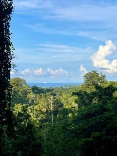 Jungle Spirit Treehouse - 4