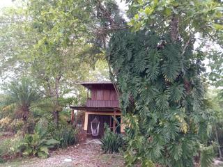 Casa Almendros - 1