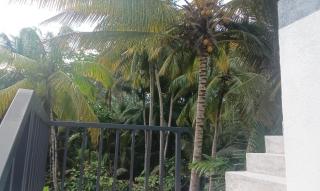 Chanaka Villa - Unawatuna - 6