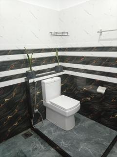 Rain forest freedom - 4