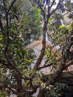 shivkrupa Guest house - 5