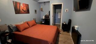 Accessible Cabin Escape with Cozy Woodland Charm in Mena, Arkansas - 4