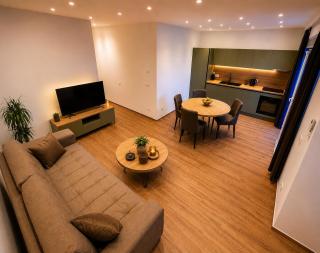 Vila Zrina - Apartmani - 6