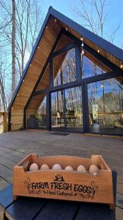Peaceful A-Frame Cabin with Riverfront Sandbars near Carlton, Georgia - 3