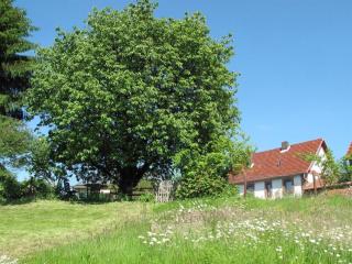 Ferienhaus Altes Schifferhaus - 2