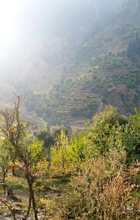 Kahna homestay - 4