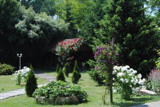Villa Hedi Panzió - Dunakiliti - 2