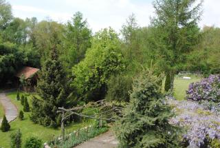 Villa Hedi Panzió - Dunakiliti - 4