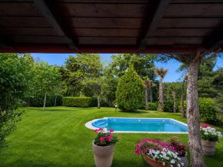 Sani Thalassa- Private Pool & 2Min Walk to the Sandy Beach - 9