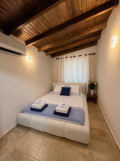 Sani Thalassa- Private Pool & 2Min Walk to the Sandy Beach - 4