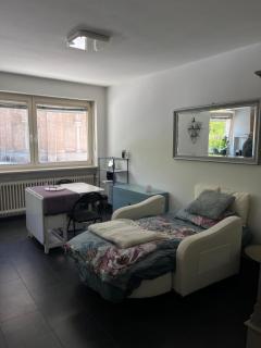 2 stilvolle und Zentrale Apartaments - 1