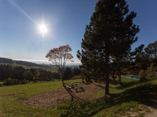 Eidenberger Alm - Eidenberg - 3