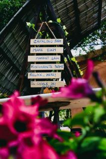 "IL CASALE DEI GIRASOLI" Country House in Capalbio - 1