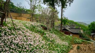 ALOR VALLEY HUZHOU - 9