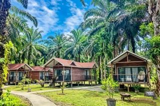 仙本那棕榈湖度假村Palm Lake Resort - 8