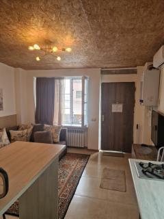 Cozy apartment in Yerevan - 1