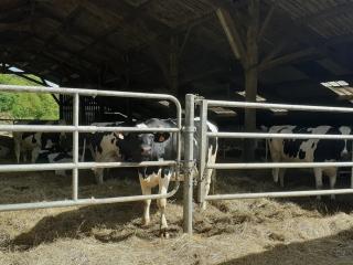 gîte à la ferme du château - 8