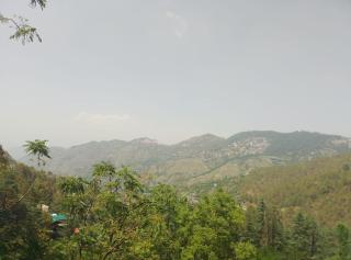Skoon b&b homestay - 1