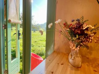 Charming cabin Avondgloed in farmer's orchard - 7