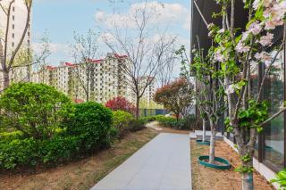 Ji Hotel Qingdao Jinshatan Qingdao University Affiliated Hospital Branch - 4