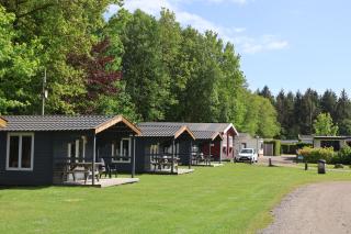 Vakantiepark t Urkerbos - Blokhutje - 9