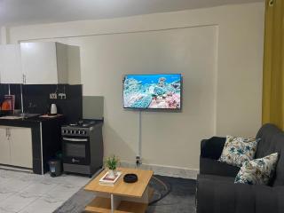 Alys South B- Studio furnished apartment - 9