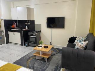 Alys South B- Studio furnished apartment - 0