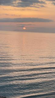 Evasion - 3