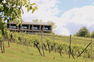 DER ZWEYTICK - Weingut, Buschenschank & Lodges - 0