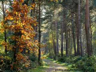 Ferienwohnungen Göstl - 5