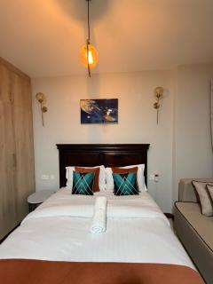 Casaluxe254-1 South Suites South B Kapiti Road - 6