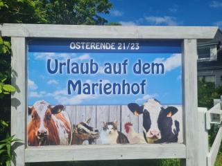 Ferienwohnungen auf dem Marienhof - 4