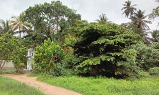 Chanaka Villa - Unawatuna - 6