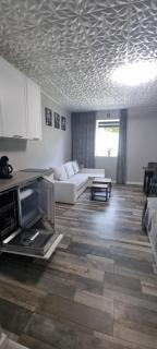 721 Slate Apartament Jedlina-Zdrój - 2