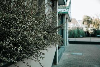 Buddy's Self Catering - 5