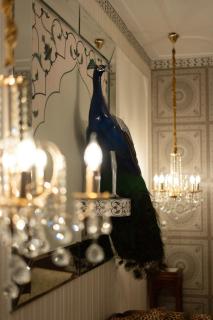 Nawab Mahal by AB LuxeStays - Private Villa - 7