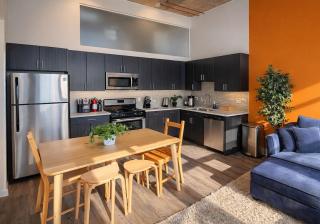 Chic Cozy 2BR Apartment Near McCormick, Place Museum Campus and Soldier Field - 9
