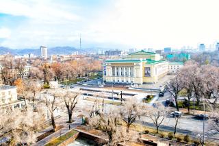 Almaty Hotel - 7