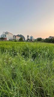 Thắng Thủy Tam Cốc Homestay - 2