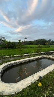 Green Corner VILLA - 9